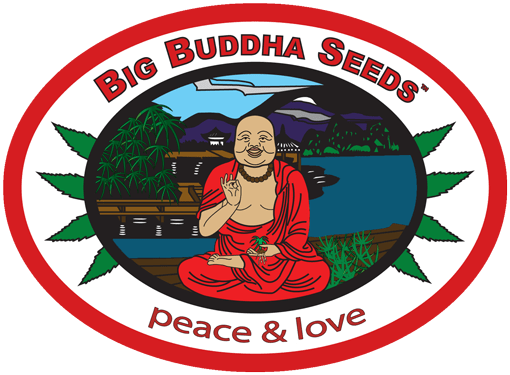 big-buddha-seeds-logo