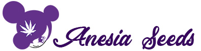 anesia-seeds-logo