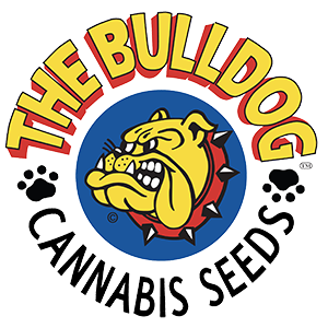 the-bulldog-seeds-logo