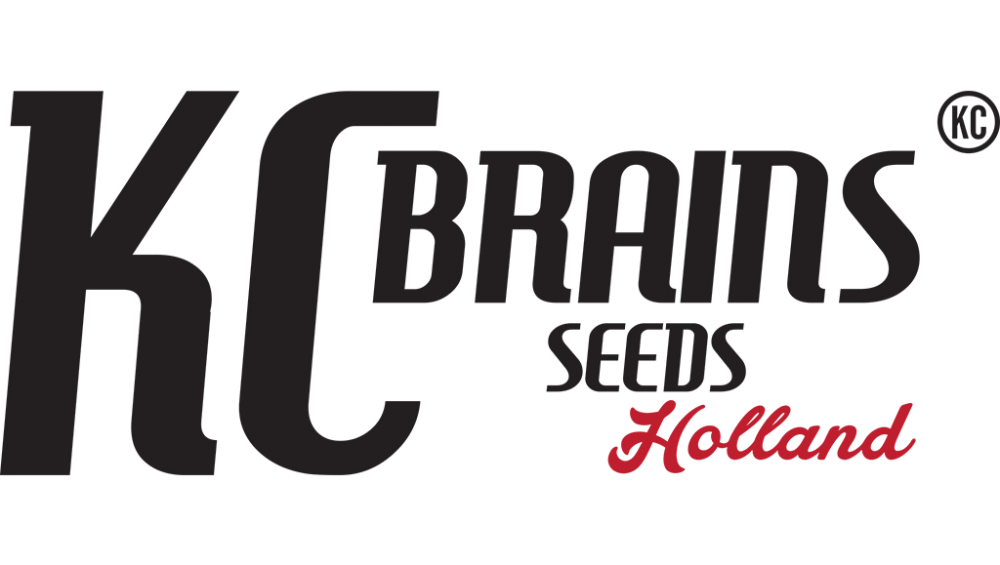 k.c.-brains-seeds-logo
