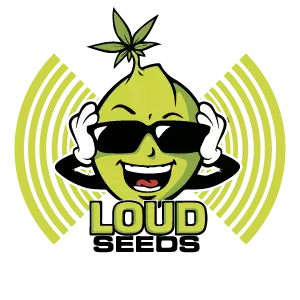 loud-seeds-logo