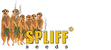 spliff-seeds-logo