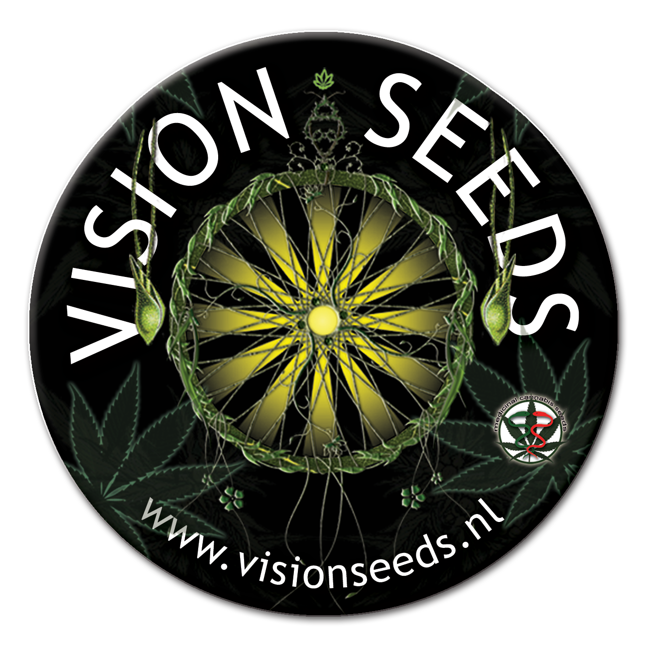 vision-seeds-logo