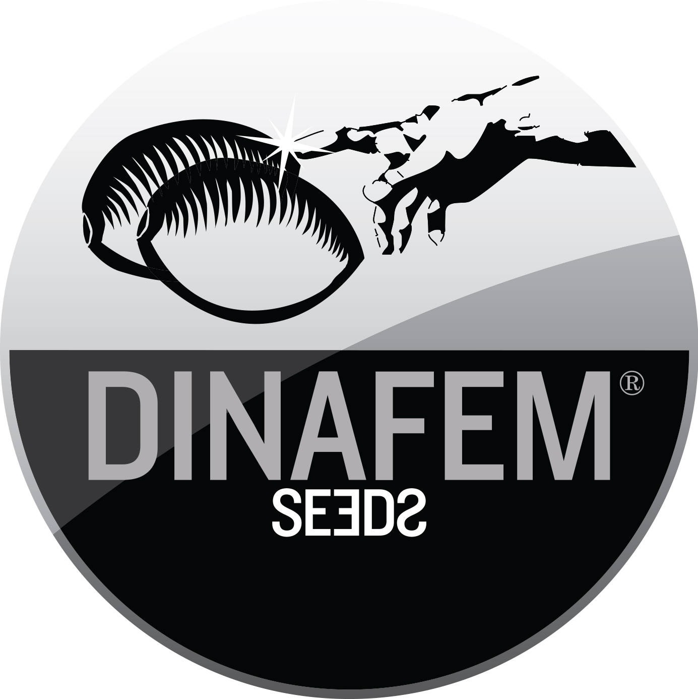 dinafem-logo