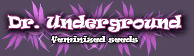 dr.-underground-logo