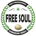 free-soul-logo
