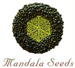 mandala-seeds-logo