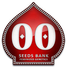 00-seeds-logo