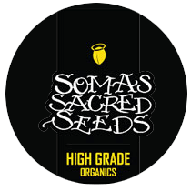 soma-seeds-logo
