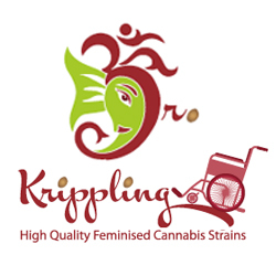 dr.-krippling-logo
