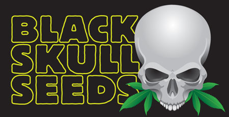 black-skull-seeds-logo