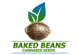 beaked-beans-logo
