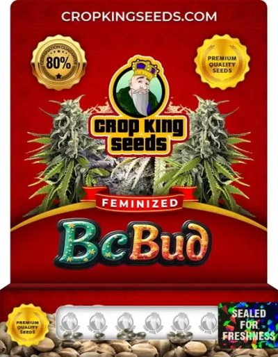 BC Bud