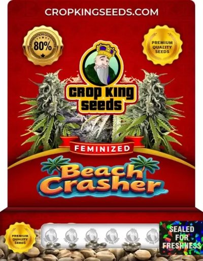 Beach Crasher