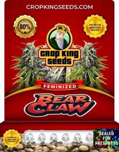 Bear Claw