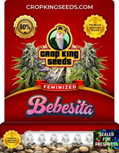 bebesita-image