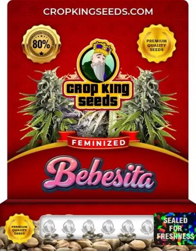 Bebesita