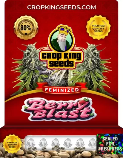 berry-blast-image