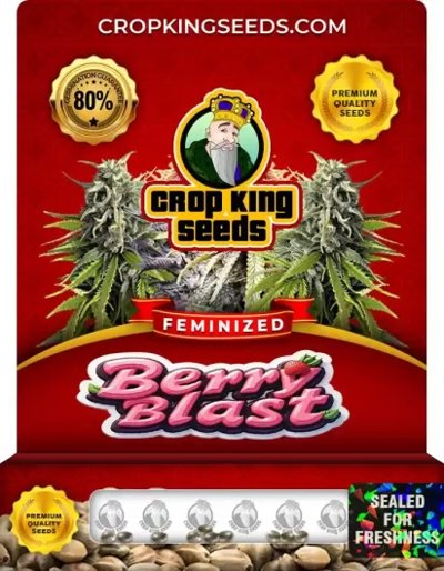 Berry Blast