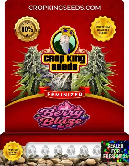 berry-blaze-image
