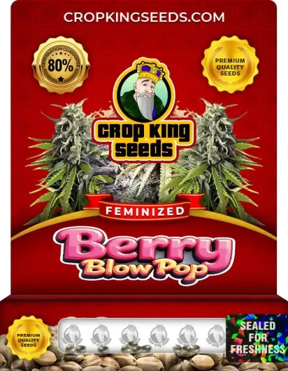 berry-blow-pop-image