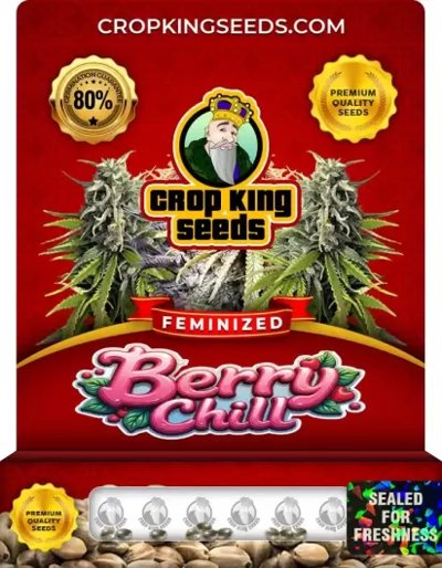 Berry Chill