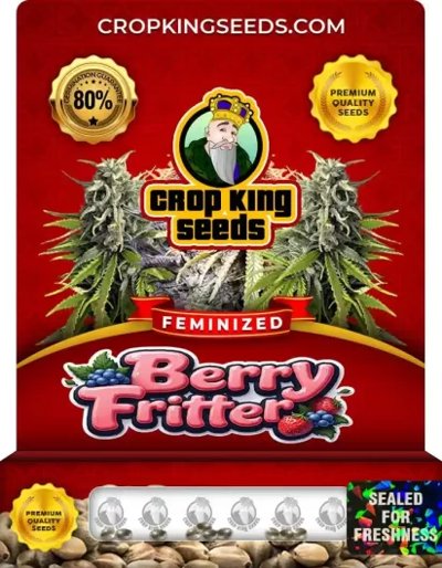 Berry Fritter