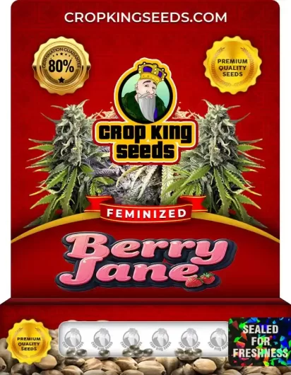 berry-jane-image
