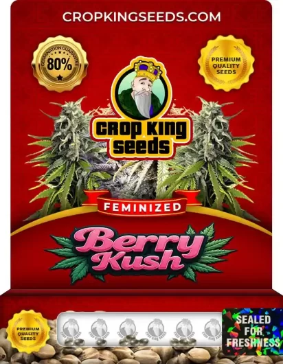 berry-kush-image