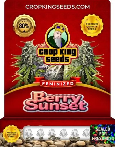 Berry Sunset