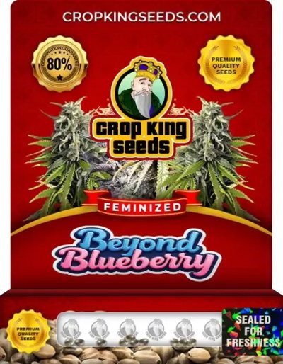 Beyond Blueberry
