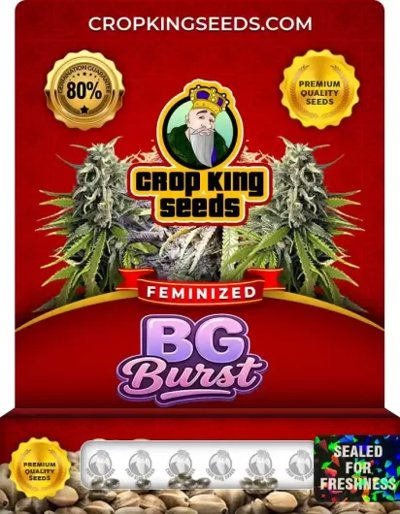 Bg Burst