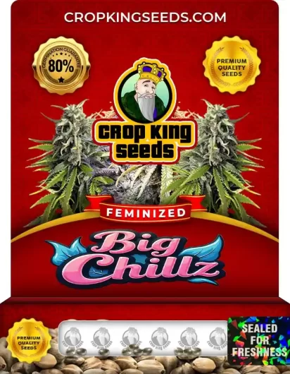 big-chillz-image