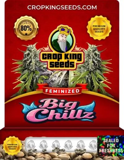 Big Chillz