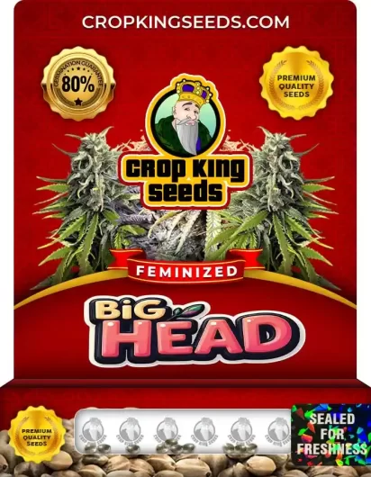 big-head-image