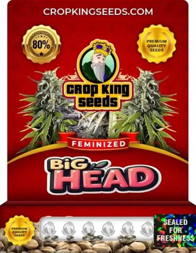 Big Head