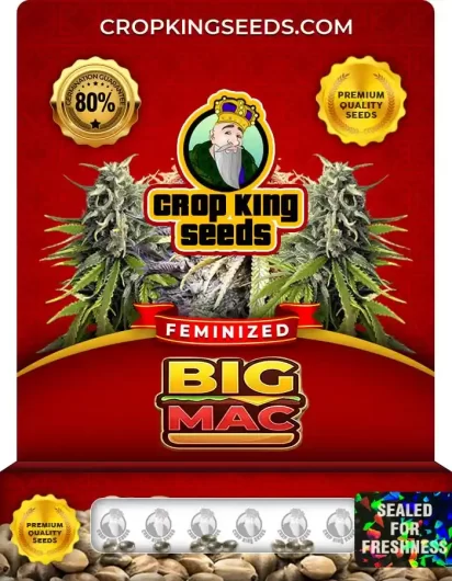 big-mac-image