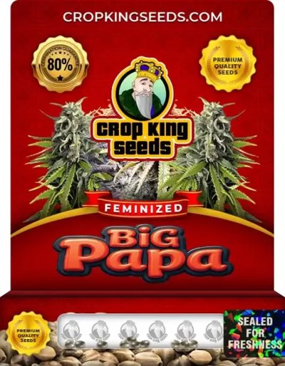 Big Papa