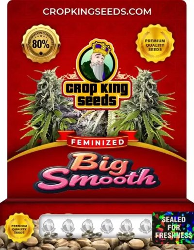 Big Smooth