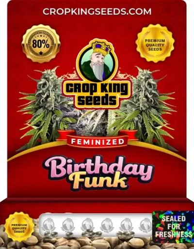Birthday Funk