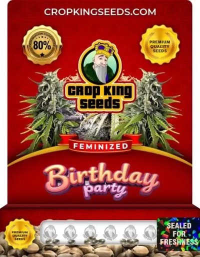 Birthday Party