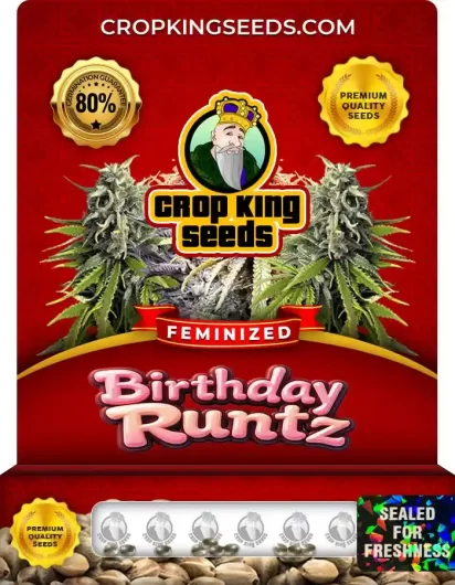 birthday-runtz-image