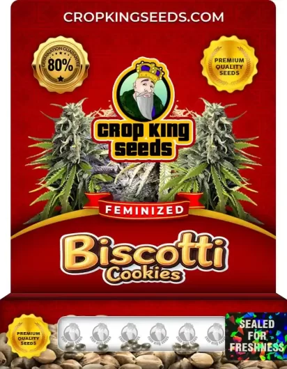 biscotti-cookies-image