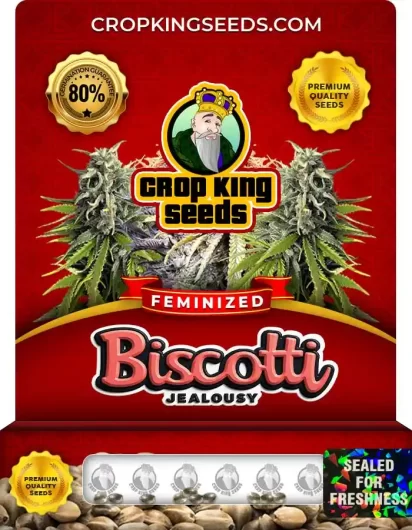 biscotti-jealousy-image