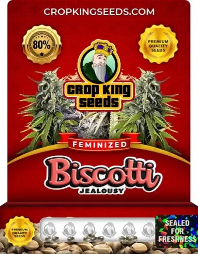 Biscotti Jealousy