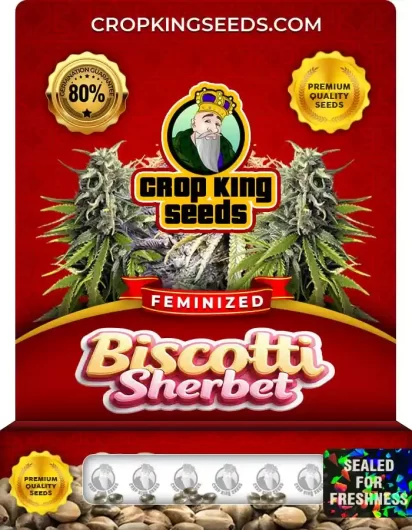 biscotti-sherbet-image