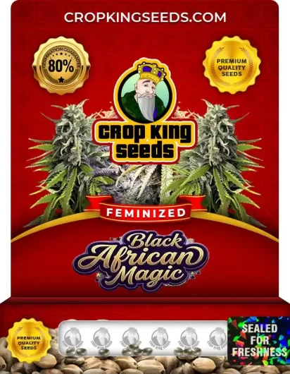 black-african-magic-image