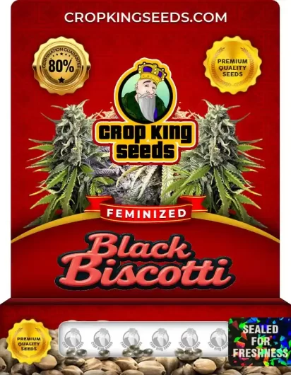 black-biscotti-image