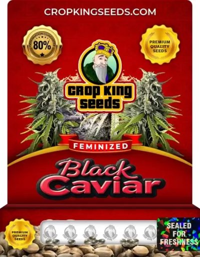 Black Caviar