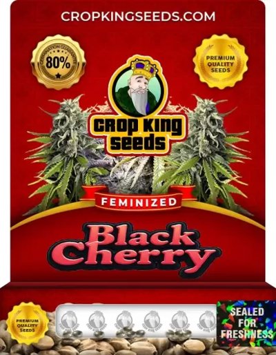 Black Cherry